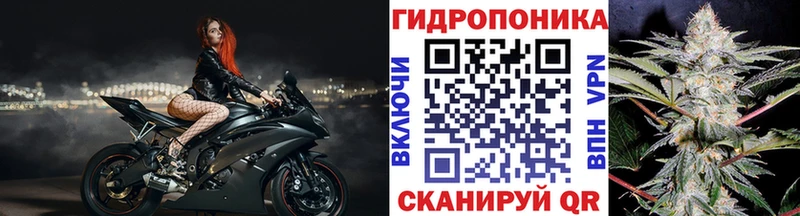 omg зеркало цена Зеленоградск Канабис план